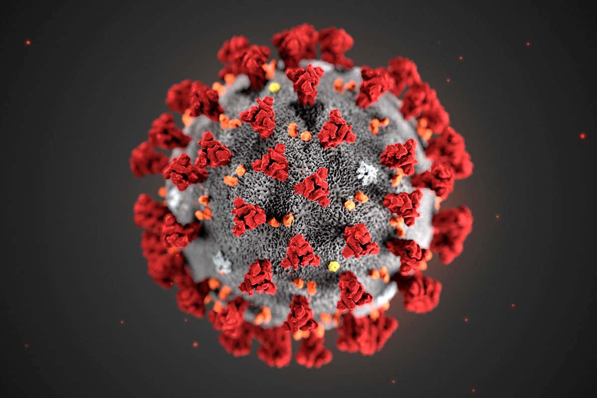 Coronavirus (Covid -19) Update